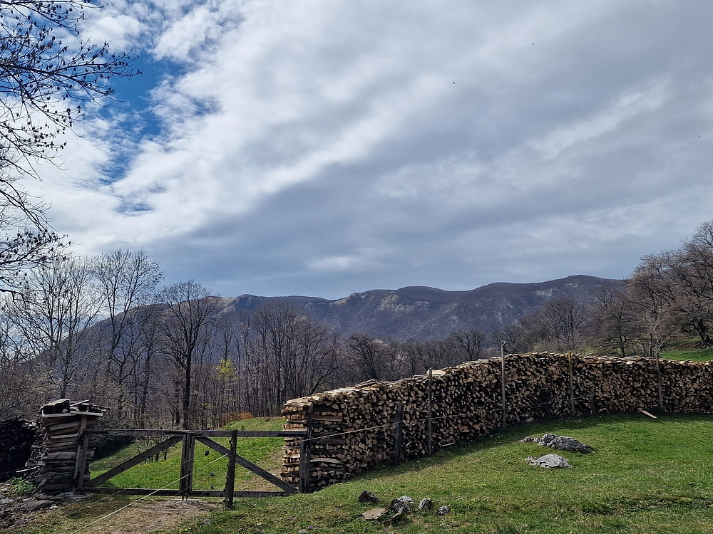 Suhi vrh (Nanos), 4. 4. 2026