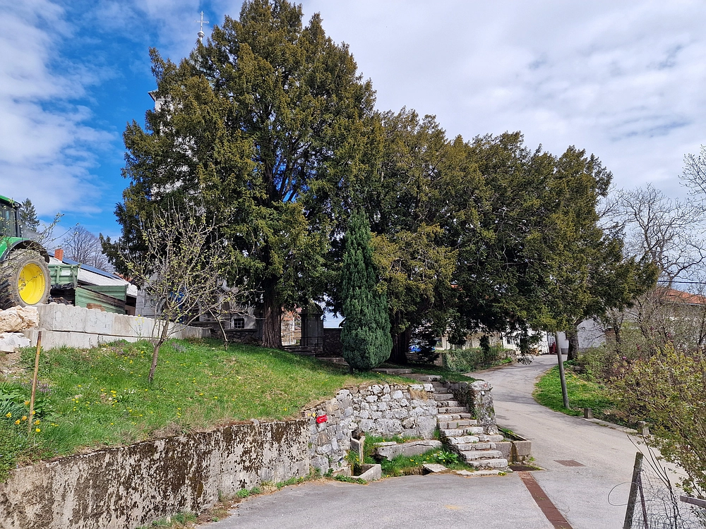 Suhi vrh (Nanos), 4. 4. 2026