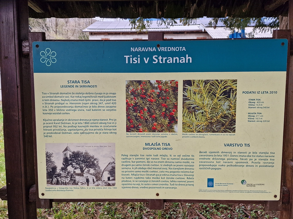 Suhi vrh (Nanos), 4. 4. 2026