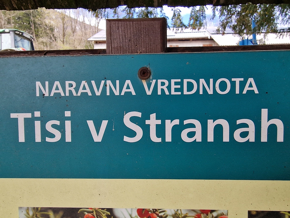 Suhi vrh (Nanos), 4. 4. 2026