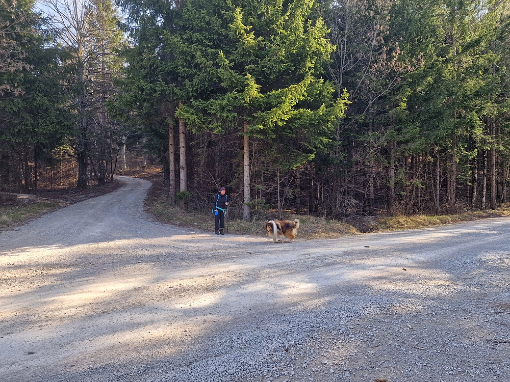 Javornik, 6. 4. 2026