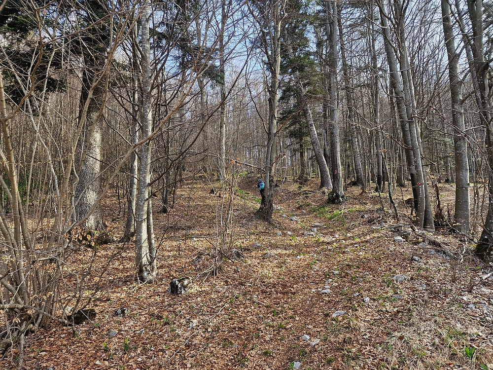 Javornik, 6. 4. 2026