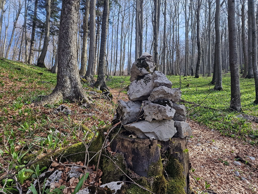 Javornik, 6. 4. 2026