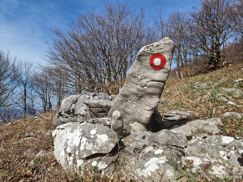 Javornik, 6. 4. 2026