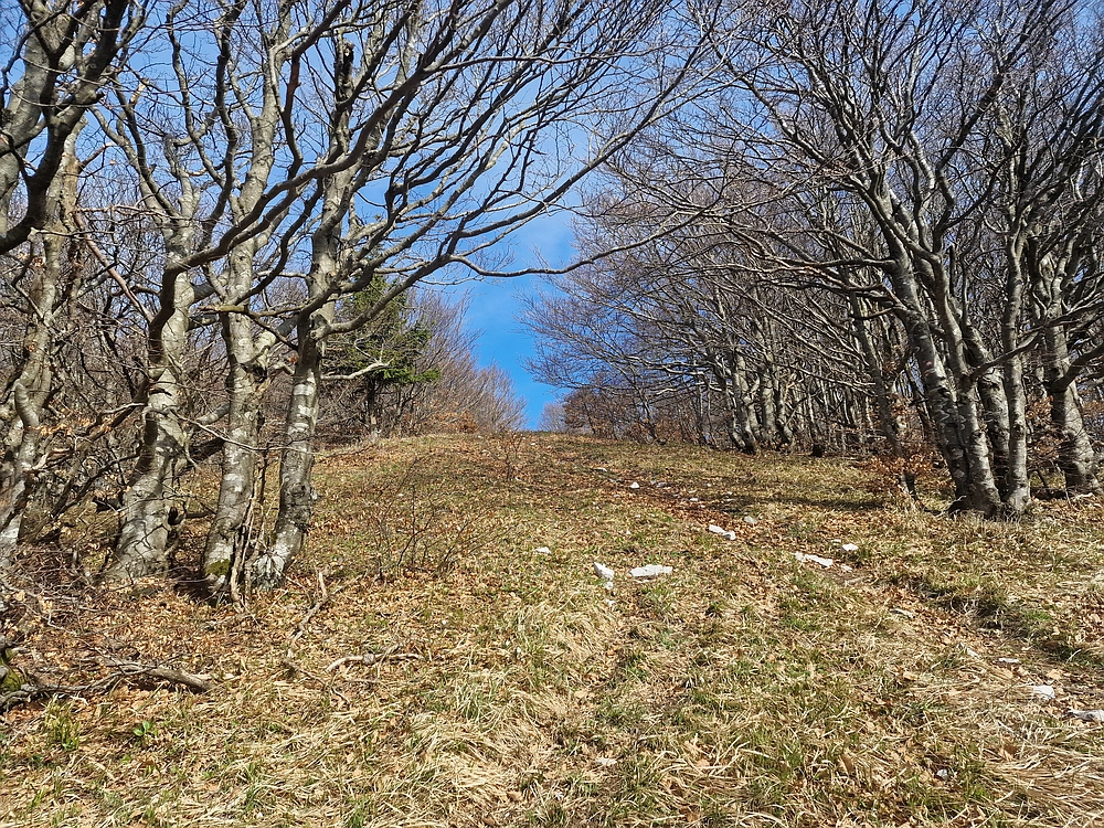 Javornik, 6. 4. 2026