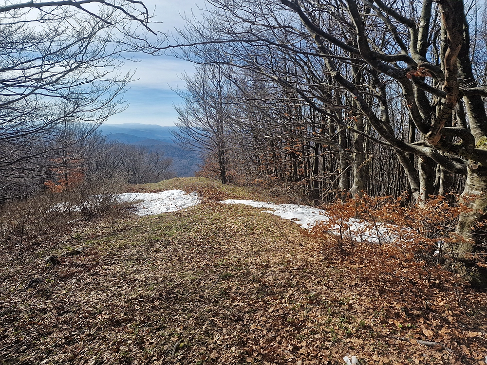 Javornik, 6. 4. 2026