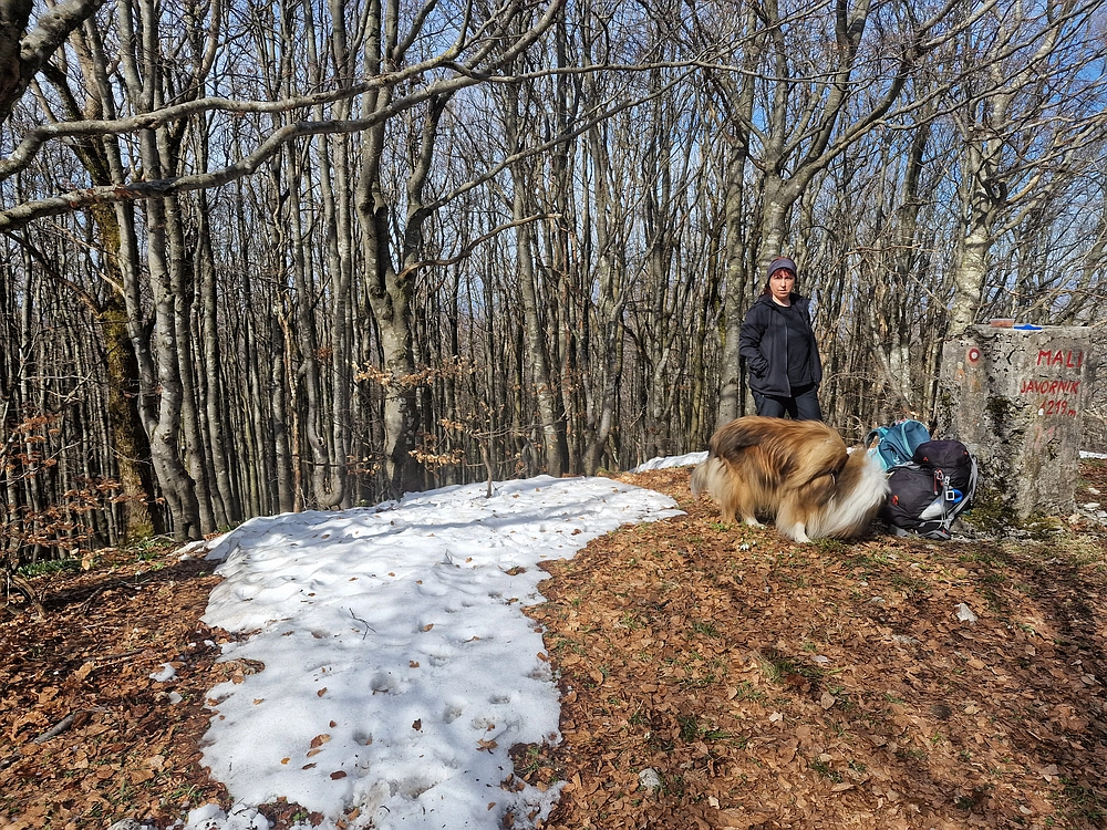 Javornik, 6. 4. 2026