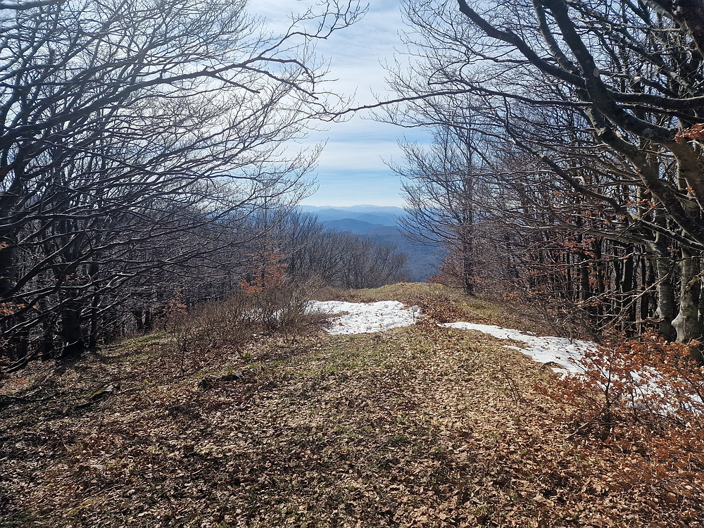 Javornik, 6. 4. 2026