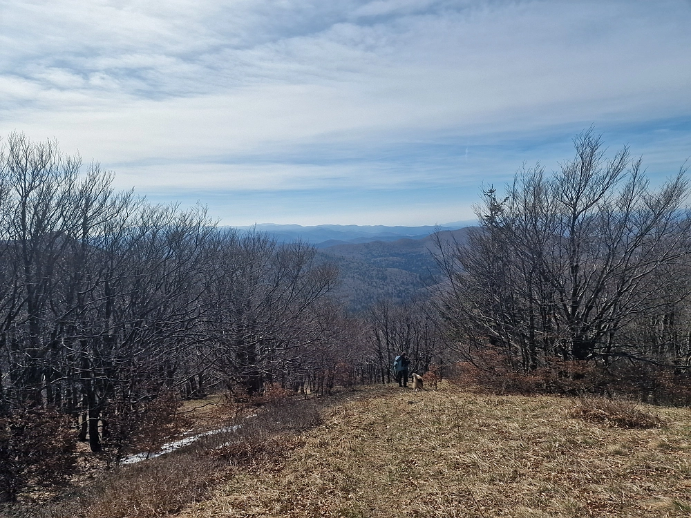 Javornik, 6. 4. 2026