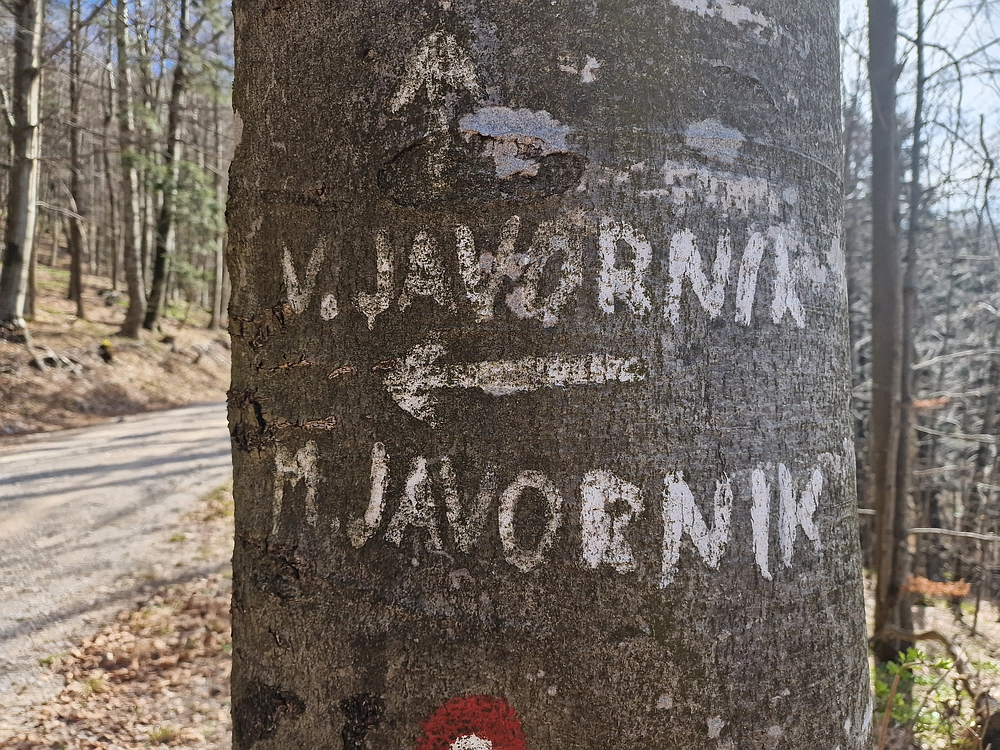 Javornik, 6. 4. 2026