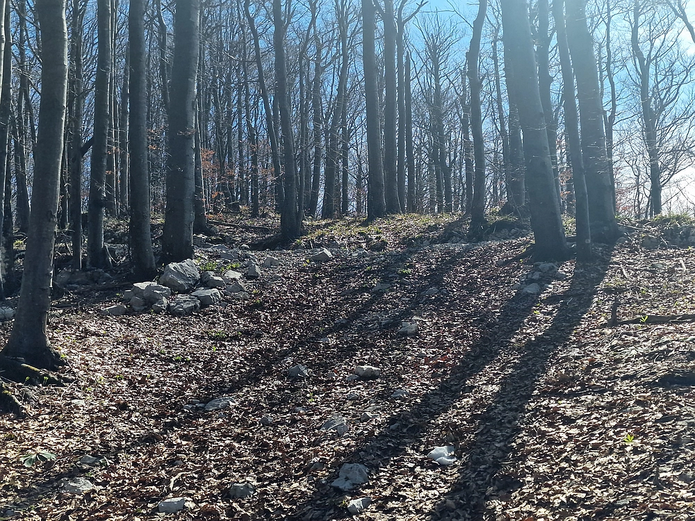 Javornik, 6. 4. 2026