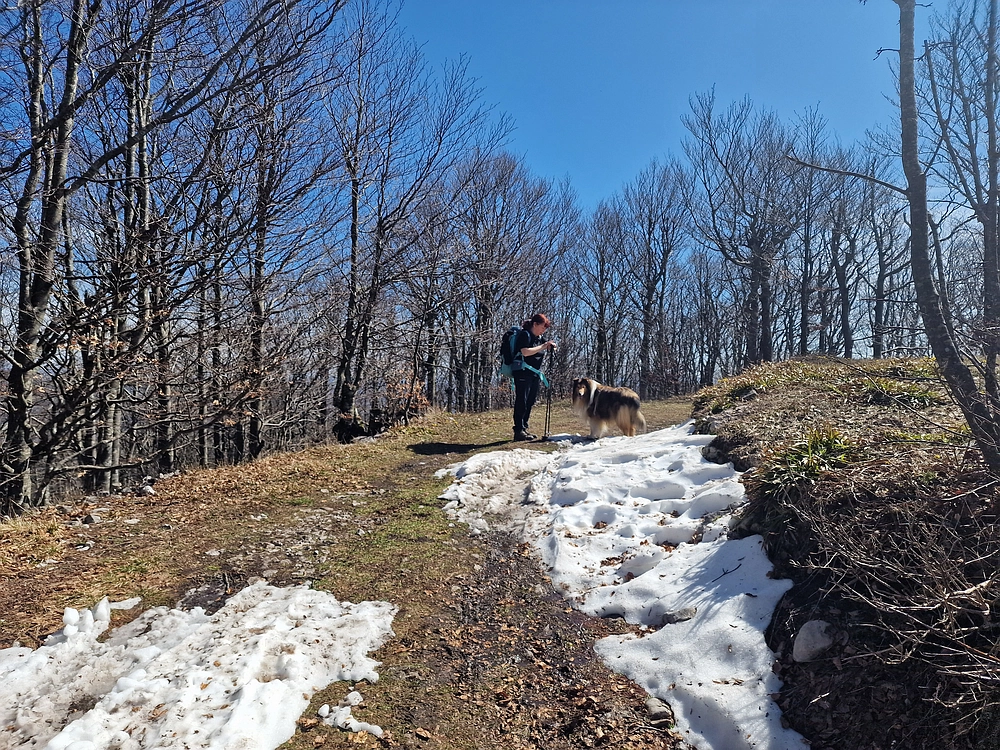 Javornik, 6. 4. 2026