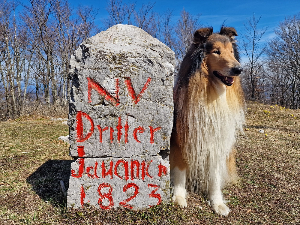 Javornik, 6. 4. 2026