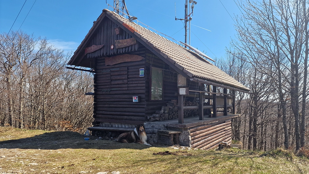 Javornik, 6. 4. 2026