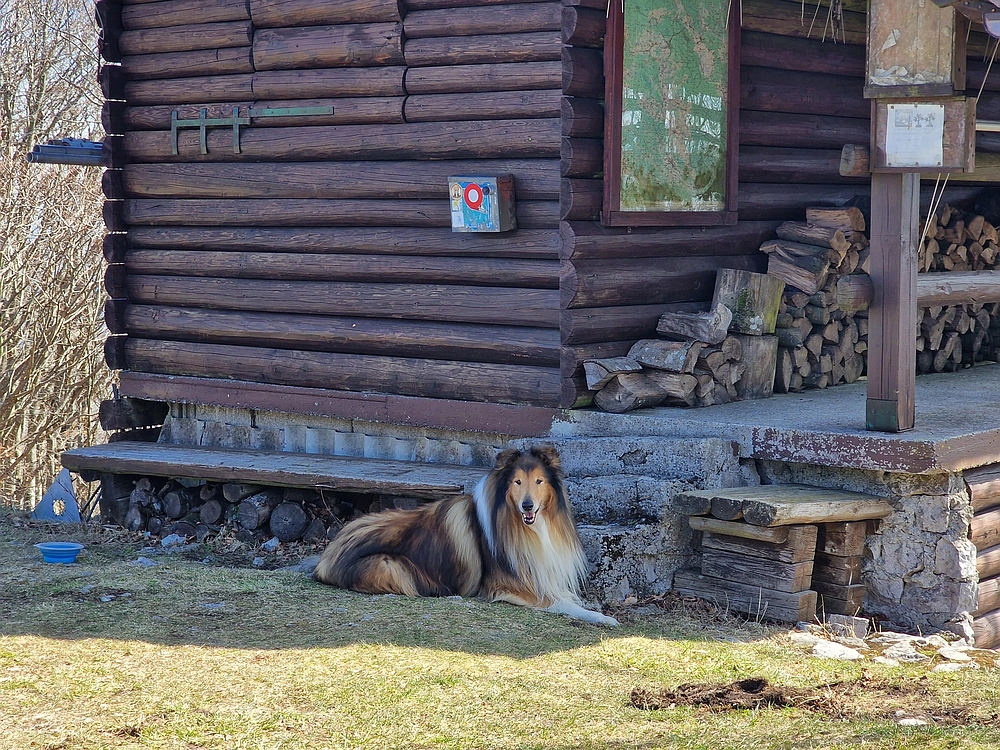 Javornik, 6. 4. 2026