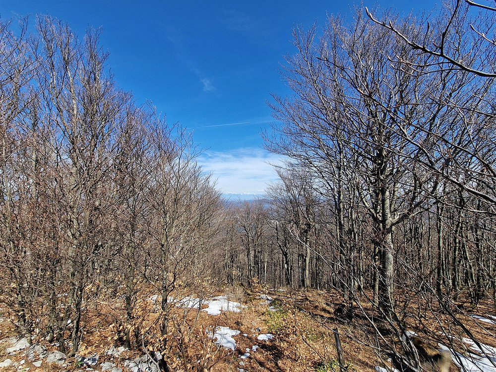 Javornik, 6. 4. 2026