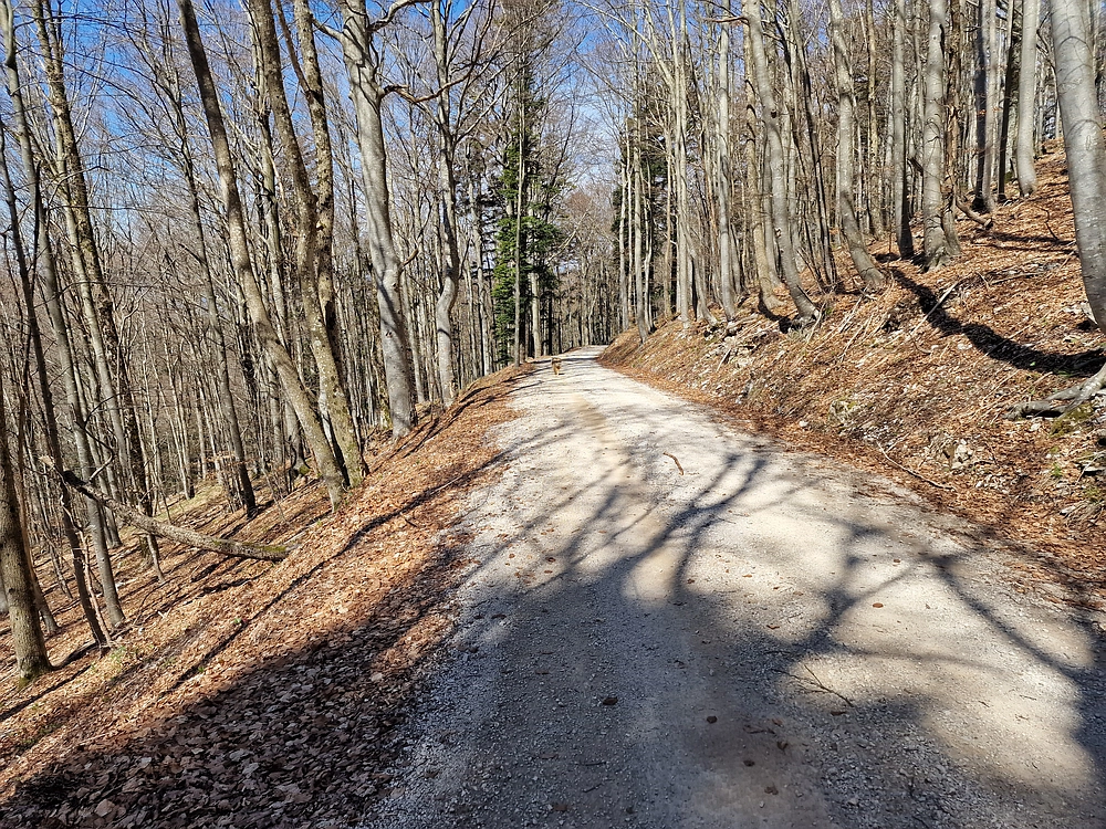 Javornik, 6. 4. 2026