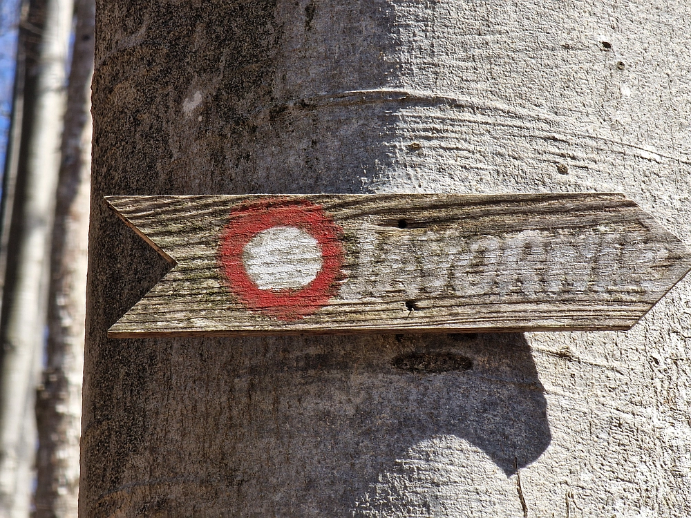 Javornik, 6. 4. 2026