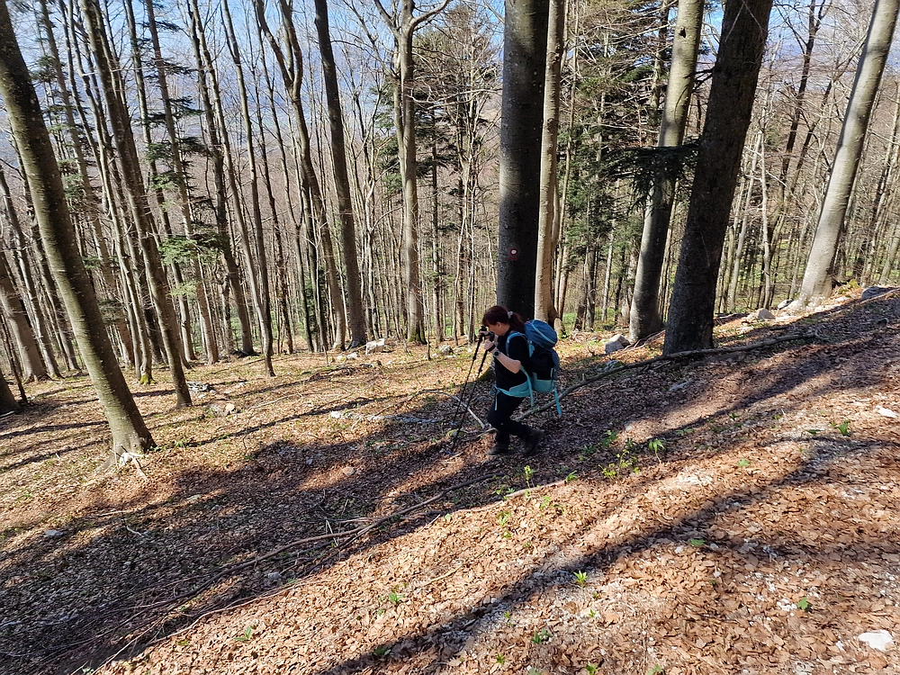 Javornik, 6. 4. 2026