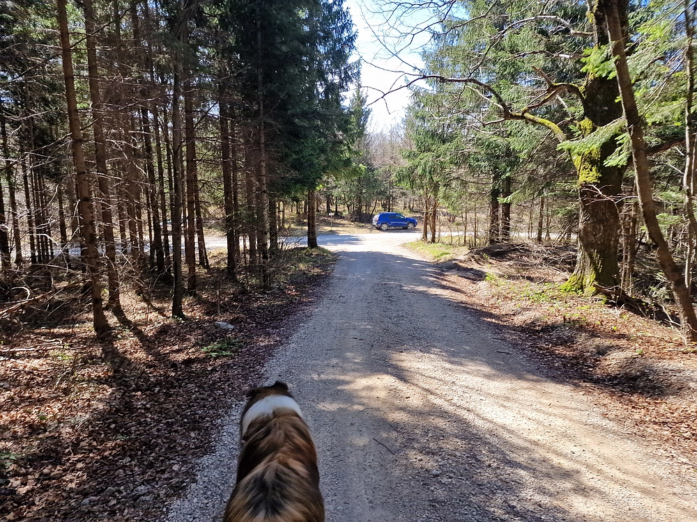 Javornik, 6. 4. 2026