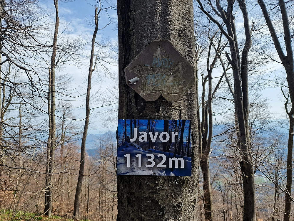 Javor, 14. 4. 2026