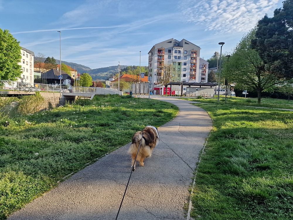Tabor, 19. 4. 2026