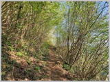 Slika_005.jpg
