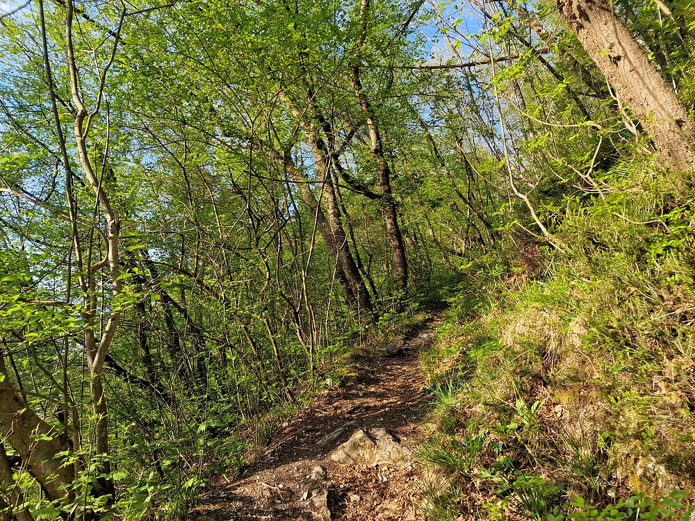 Tabor, 19. 4. 2026