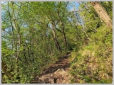 Slika_006.jpg