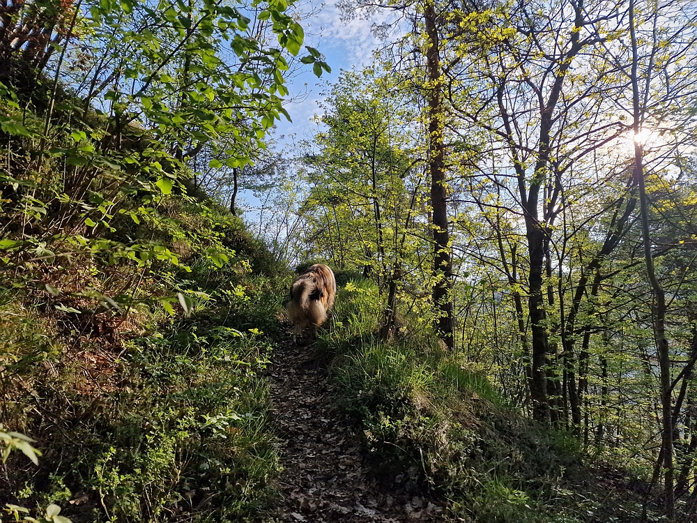Tabor, 19. 4. 2026