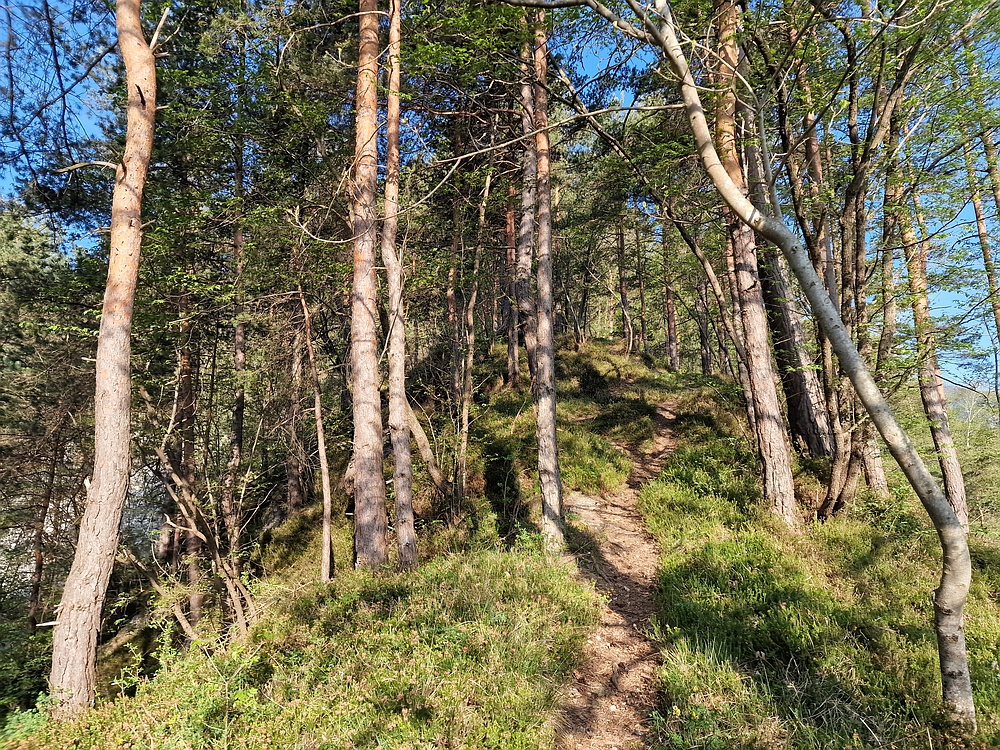 Tabor, 19. 4. 2026