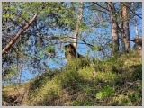 Slika_013.jpg