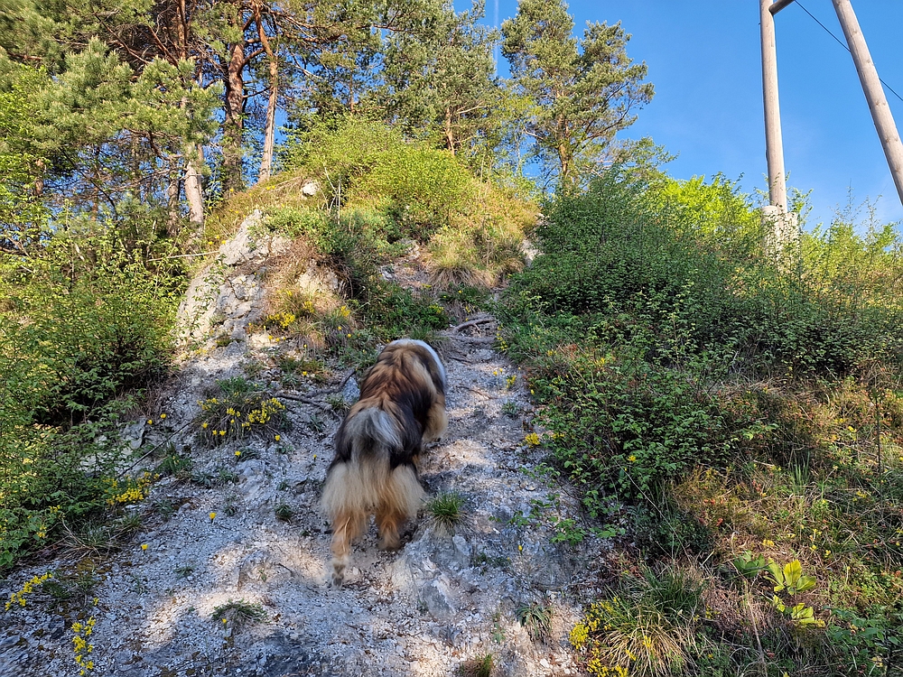 Tabor, 19. 4. 2026