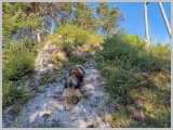 Slika_017.jpg