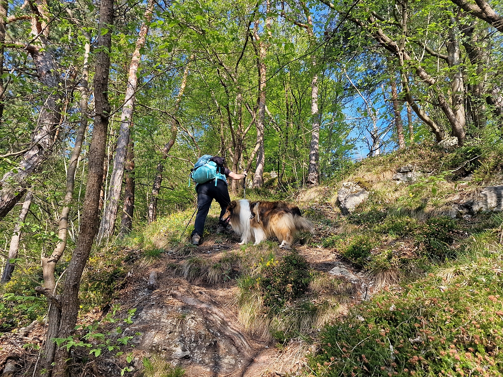 Tabor, 19. 4. 2026