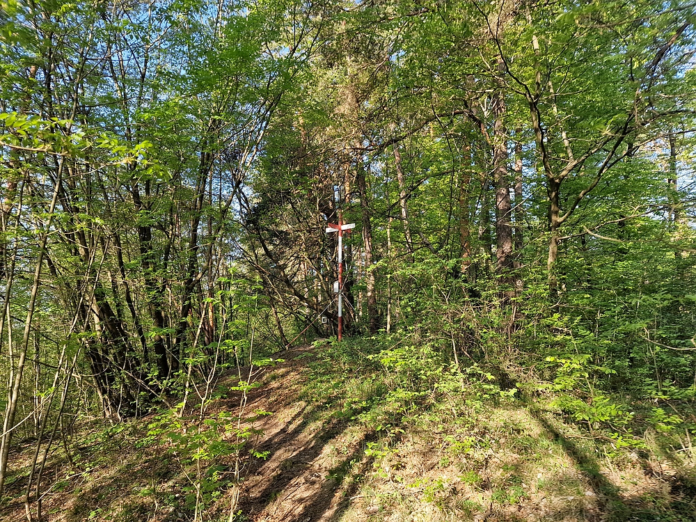 Tabor, 19. 4. 2026