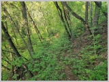 Slika_024.jpg