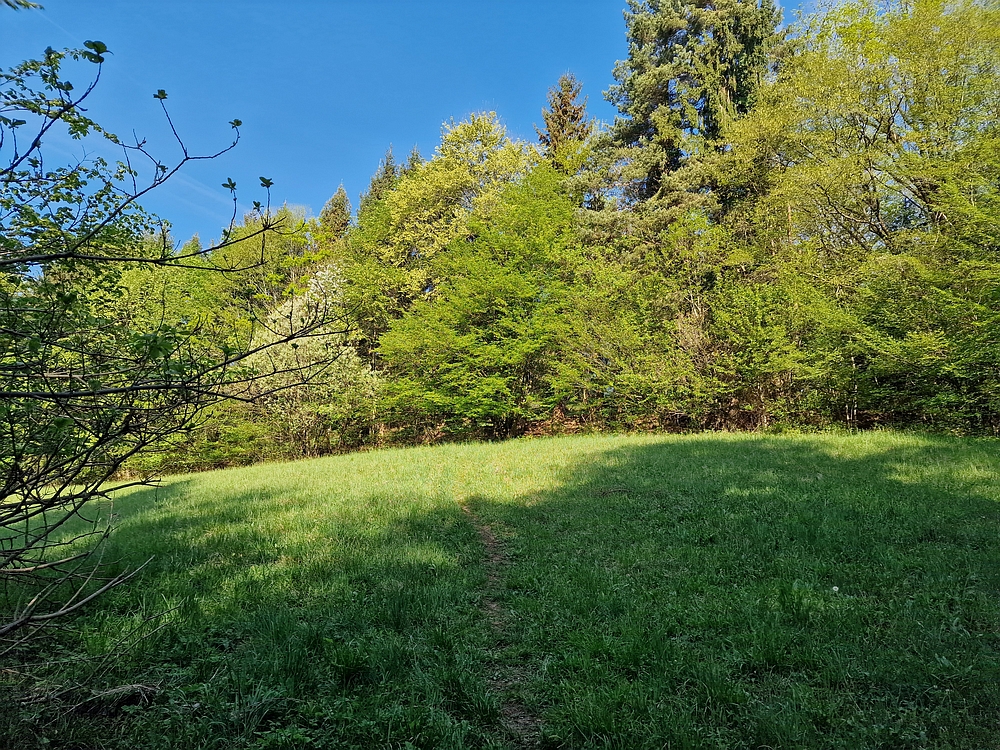 Tabor, 19. 4. 2026