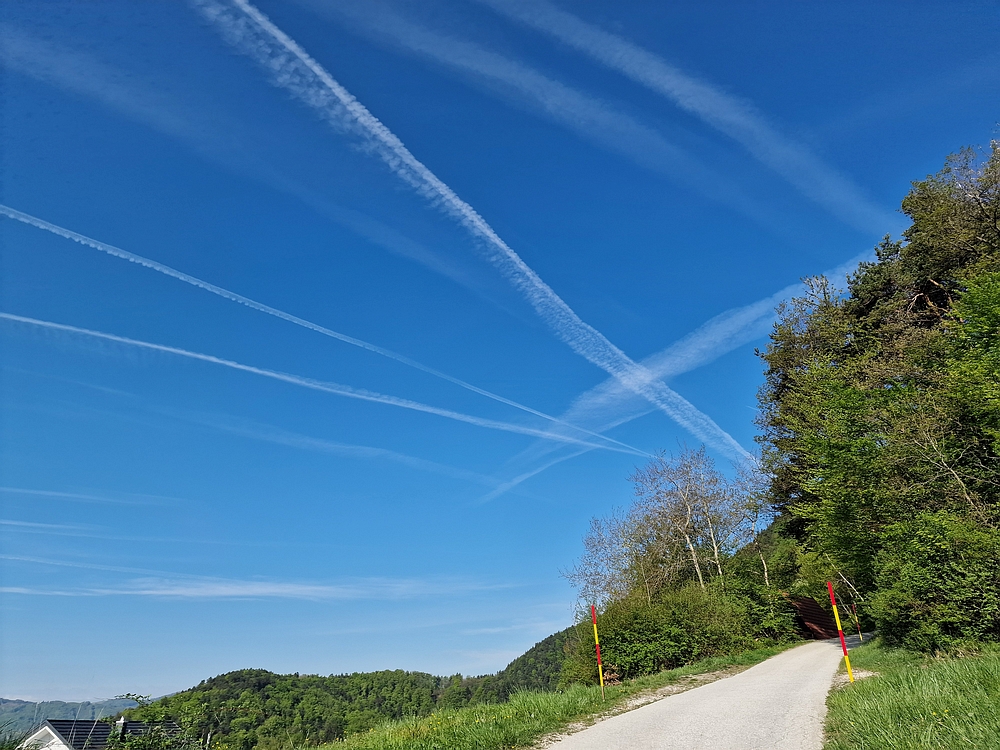 Tabor, 19. 4. 2026