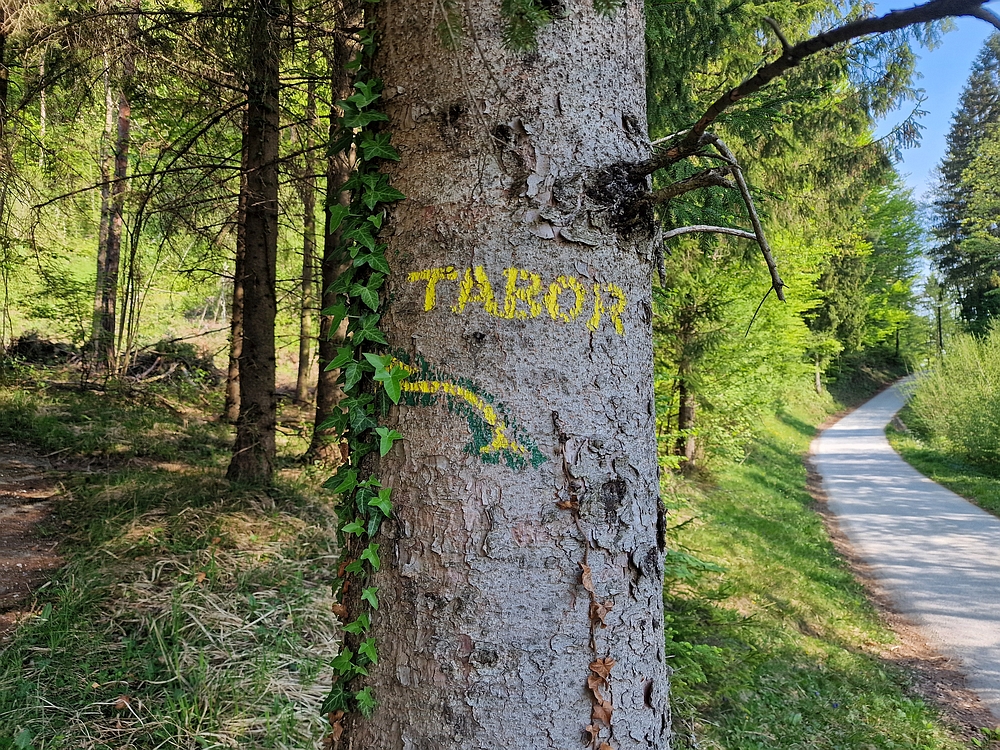 Tabor, 19. 4. 2026