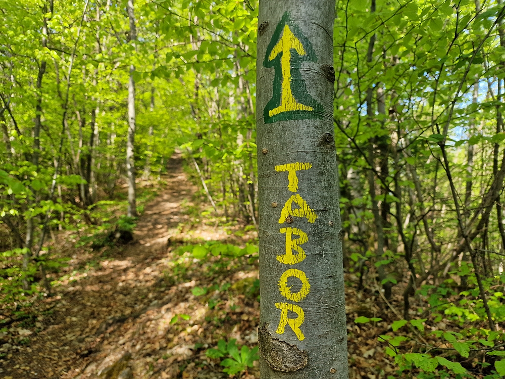 Tabor, 19. 4. 2026
