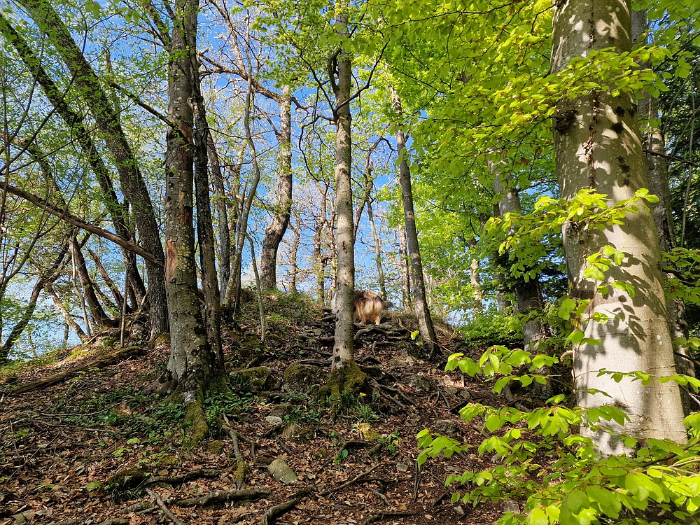 Tabor, 19. 4. 2026