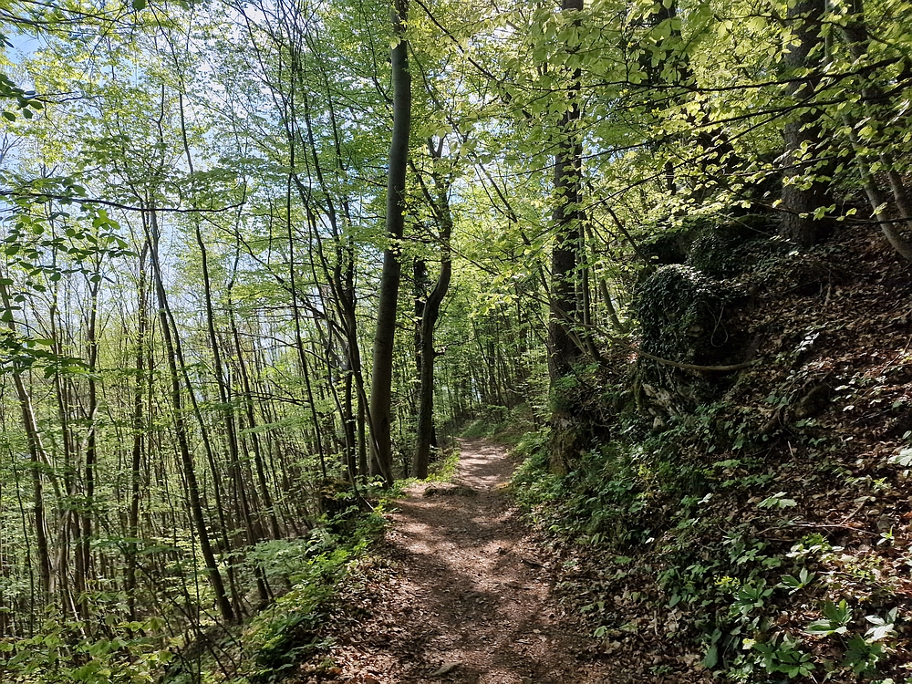 Tabor, 19. 4. 2026