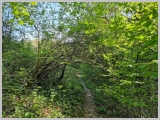 Slika_052.jpg