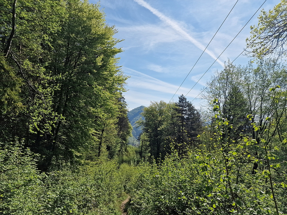 Tabor, 19. 4. 2026