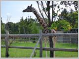 Wien_ZOO-001.webp
