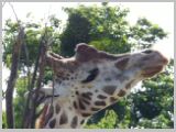 Wien_ZOO-002.webp