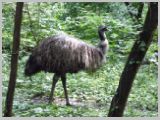 Wien_ZOO-005.webp