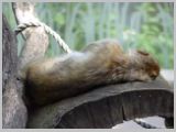 Wien_ZOO-014.webp