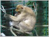 Wien_ZOO-016.webp
